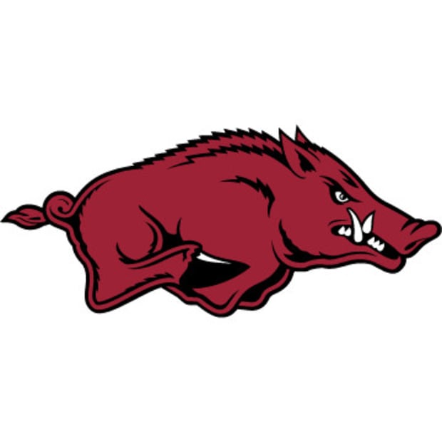 ARKANSAS RAZORBACKS_360x360